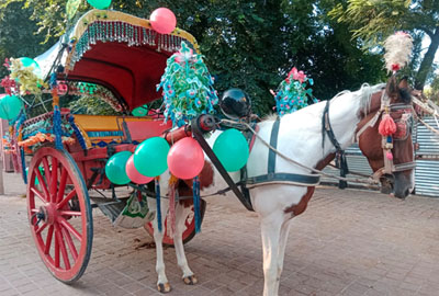 TAJ MAHAL TOUR GUIDE LICENSE